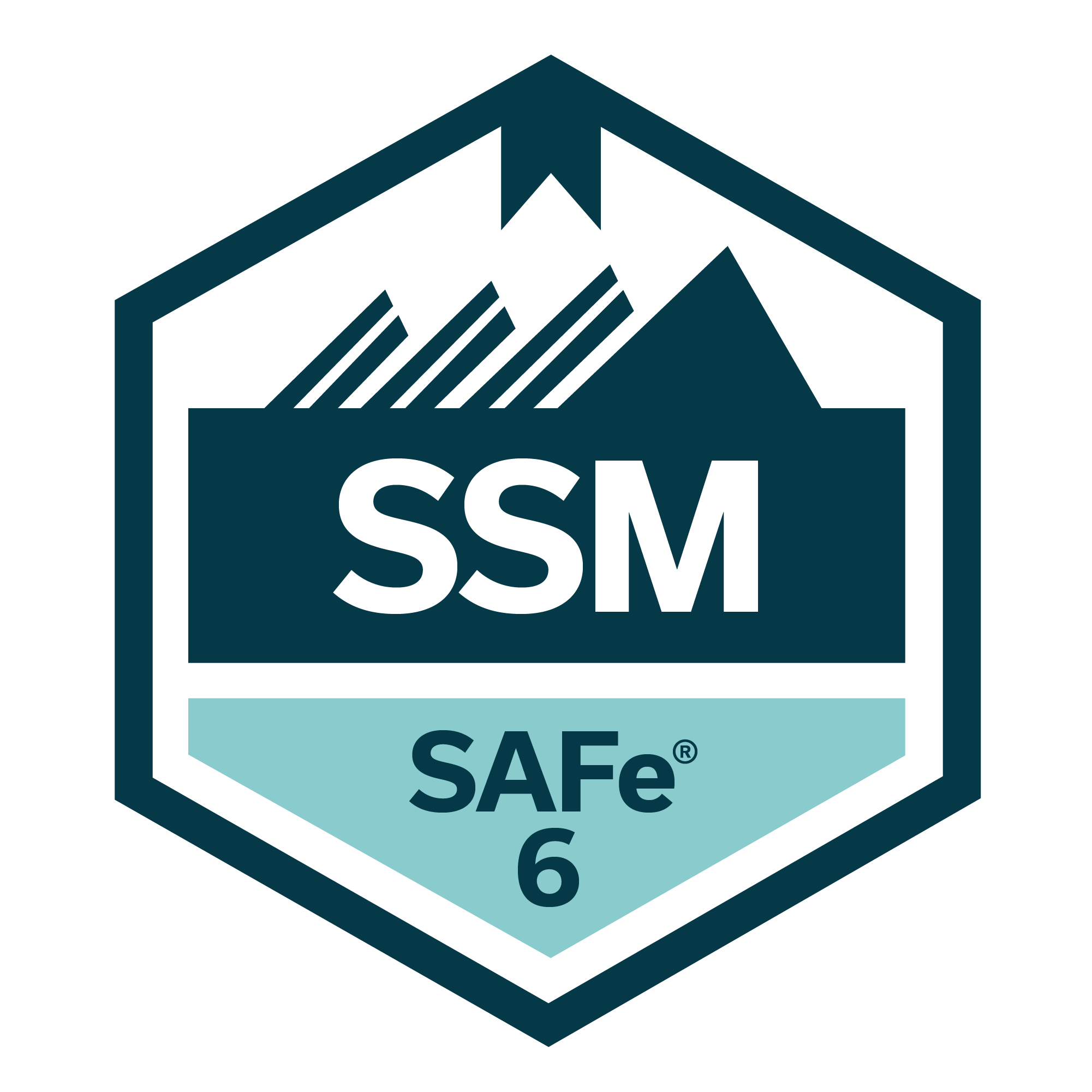 SAFe® Lean Portfolio Management